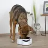 Image de Eyenimal Bol avec balance intégrée 1,8 L - Blanc
