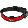 Image de Eyenimal Collier lumineux pour chien Light Collar - S - Rouge