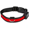 Image de Eyenimal Collier lumineux rechargeable Light Collar USB - Taille M - Rouge