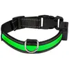 Image de Eyenimal Collier lumineux Light Collar USB Rechargeable - M - Vert