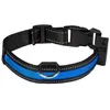 Image de Collier pour chien lumineux rechargeable USB Eyenimal Bleu M NGCOLLUM023