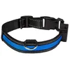 Image de Collier pour chien lumineux USB rechargeable Eyenimal Bleu L NGCOLLUM024