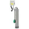 Image de Ribimex Pompe Puits 750W
