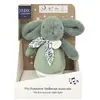 Image de DOUDOU ET COMPAGNIE Veilleuse Bebe Musicale Culbuto
