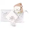 Image de Doudou 25 ans - Ours rose pantin attache sucette