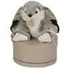 Image de Histoire d'ours peluche lapin Marius