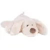 Image de Histoire d'ours doudou chien Cookie