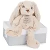 Image de Histoire d'ours peluche lapin Copains Câlins - Beige