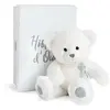 Image de Histoire d'Ours Peluche Charms