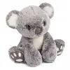 Image de Histoire d'ours peluche koala - Gris