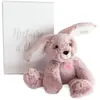 Image de Histoire d'Ours Doudou Sweety Mousse Lapin