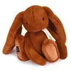 Image de Histoire d’ours peluche lapin doudou