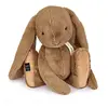 Image de Histoire d'ours doudou lapin noisette