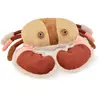 Image de Histoire d'ours peluche crabe