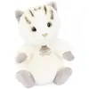 Image de Histoire d'ours peluche chat