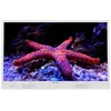 Image de 32DMD22HW-TELE LED 82cm sur batterie Blanc