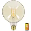 Image de But ampoule LED globe décorative E27