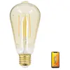 Image de But ampoule LED décorative Edison E27