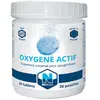 Image de Netspa galets spa oxygène actif