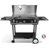 Image de Planchaelec LUX 830 CARBON