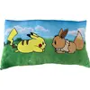 Image de Coussin Premium Pokémon Pikachu & Eevee, Microfibre, 60 cm