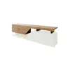Image de Bestmobilier Pitt meuble TV - Bois
