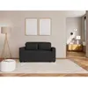 Image de Bestmobilier Ernest canapé convertible 2 places - Noir