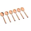 Image de Coffret 6 petites cuillères NILS - Copper