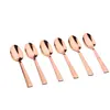 Image de Coffret 6 petites cuillères FINN - Copper