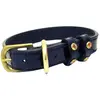 Image de Collier pour chien Cavaletti Strass Marron 45 cm CAP03O