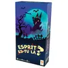 Image de Esprit es-tu là - Topigames