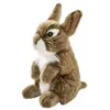 Image de Anima peluche lapin assis