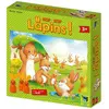 Image de Matagot Hop Hop Lapins