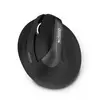 Image de Urban Factory Ergo Mouse Bluetooth Ergo Mouse Bluetooth 2.4Ghz and wired USB 1000mAh rechargeable battery in USB-C using the included cable