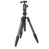 Image de Starblitz TSC 215