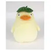 Image de Semicdistrib Peluche Ootorisama Studio Ghibli