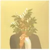 Image de French Kiwi Juice