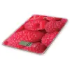Image de Balance de cuisine LITTLE BALANCE 8546