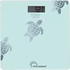 Image de Little balance Tortues Aqua - Bleu
