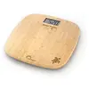 Image de Little balance Soft Bambou Tortue