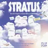 Image de Jeu d enquête Flip flap Stratus