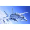 Image de F/a-18c/d Wild Weasel Italeri 1/72