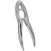 Image de Metaltex Casse-Noisette, Casse-noix, Argent