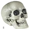 Image de Magni Tête de mort en plastique 21cm (1 pcs)