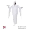 Image de Déguisement Fantôme Enfant Blanc (11/13 ans)
