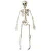 Image de Squelette 3D -40 cm
