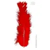 Image de Sachet De 50 Plumes Rouges