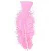 Image de Sachet De 50 Plumes Roses Pastel
