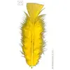Image de Sachet De 50 Plumes Jaunes