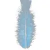 Image de Sachet De 50 Plumes Bleu Ciel